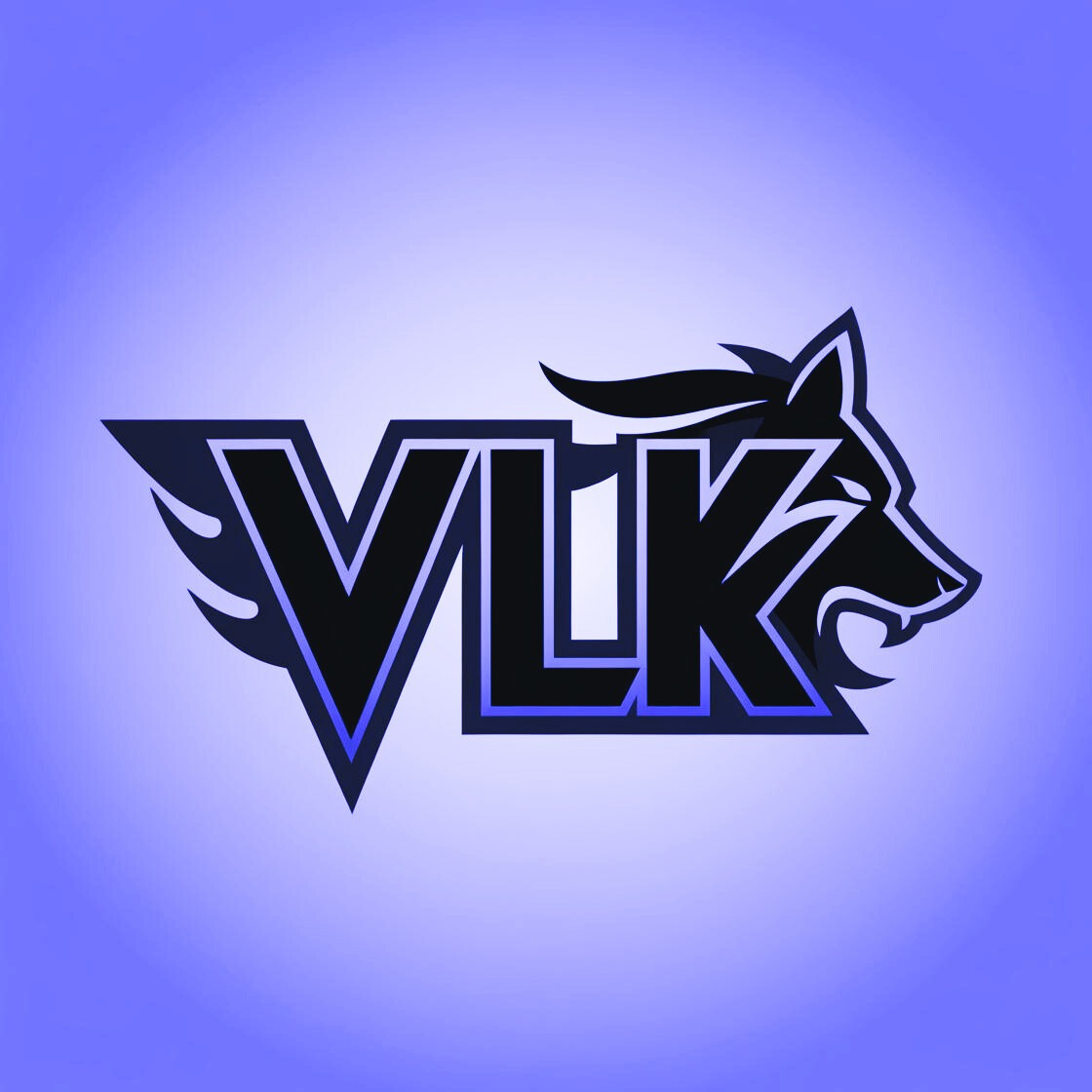 VULKRAYN Esport